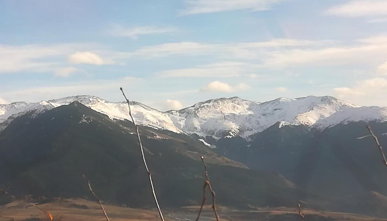 Pyrenees Catalanes Tres Joli Appartement 300M Telecabines Font-Romeu-Odeillo-Via Kültér fotó
