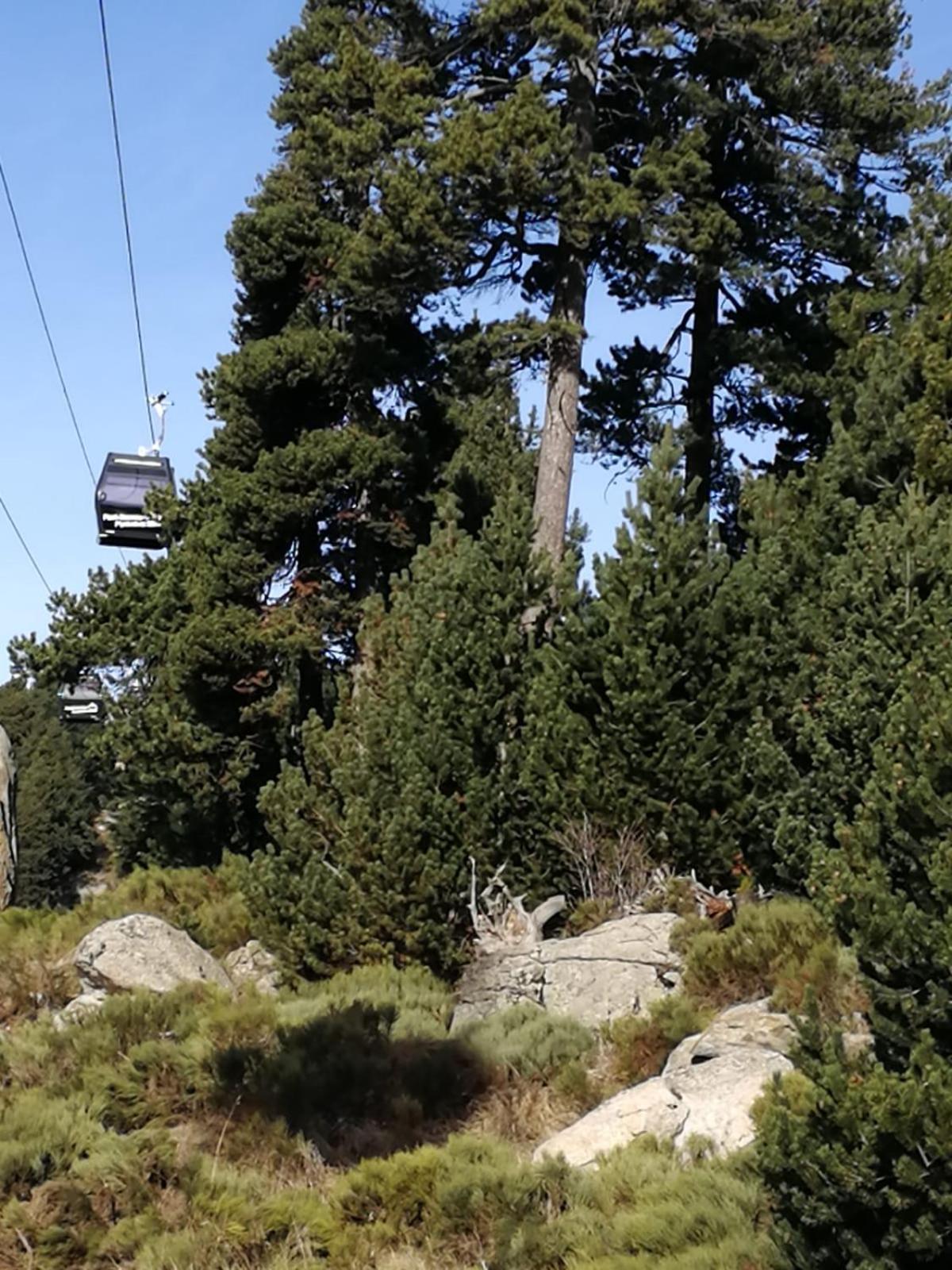 Pyrenees Catalanes Tres Joli Appartement 300M Telecabines Font-Romeu-Odeillo-Via Kültér fotó